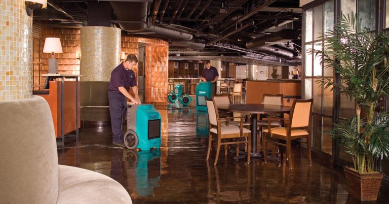 local water damage company Trenton, NJ